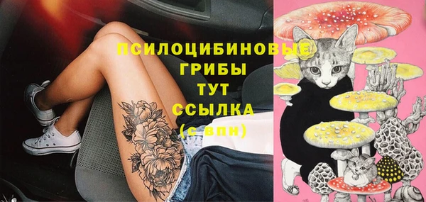 Альфа ПВП Алексеевка